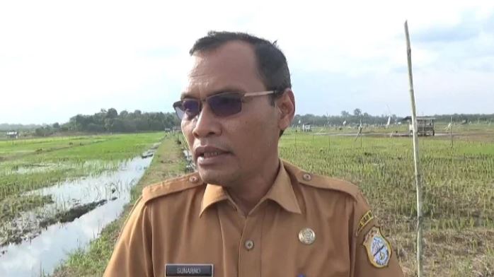 Kepala Dinas Tanaman Pangan dan Hortikultura Pemkab Tanjabtim, Sunarno, (Dok. Ginting)