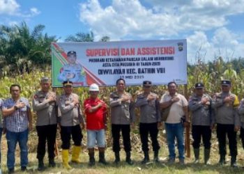 Tim Gugus Ketahanan Pangan Polres Sarolangun bersama Tim Supervisi Polda Jambi saat meninjau lahan perkebunan jagung di Kecamatan Batin VIII, Rabu (28/5/2025). (Foto: Dok. Humas Polres Sarolangun)