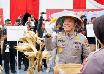 Komjen Pol. Dedi Prasetyo, Ketua Gugus Tugas Ketahanan Pangan POLRI, memamerkan hasil panen jagung dalam simbolisasi dukungan POLRI terhadap swasembada pangan nasional. (Foto: Humas POLRI)