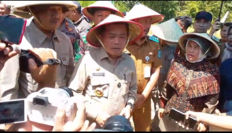 Gubernur Al Haris dan Bupati Kerinci Monadi saat melaksanakan panen raya gabah padi di Desa Pungut Hilir, Kerinci, pada Selasa (6/5/2025). (Dok. Diko - JT)