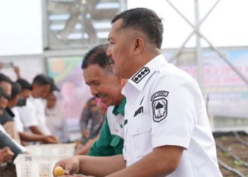 Bupati Monadi pada acara syukuran dan panen perdana benih kentang kelas G0 di SGH BBI Kentang Kayu Aro, Rabu (7/5/2025). (Dok. Diko - JT)