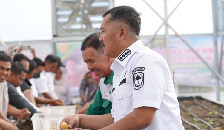 Bupati Monadi pada acara syukuran dan panen perdana benih kentang kelas G0 di SGH BBI Kentang Kayu Aro, Rabu (7/5/2025). (Dok. Diko - JT)