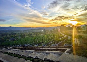 Pesona alam AGROWISATA Farenza Garden yang berada di Desa Renah Alai, Kecamatan Jangkat, Kabupaten Merangin, (Dok. Stepanus)