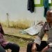Bhabinkamtibmas Polsek Muara Tembesi, Aipda Didik Suparjan, berdialog dengan petani setempat di Kelurahan Kampung Baru, Sabtu (14/6/2025) (Dok. Polsek Muara Tembesi)
