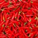 Cabai Merah Kecil (Dok, Pinterest)