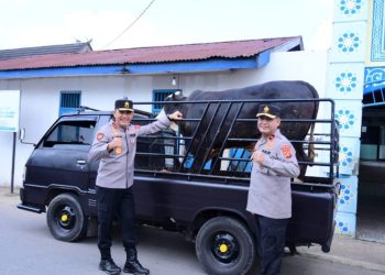 Kapolda Jambi Irjen Pol Krisno H. Siregar bersama Wakapolda Brigjen Pol M. Mustaqim saat menyerahkan hewan kurban di Pesantren Ma’had Al-Mubarak Al-Islami, Kamis (5/6/2025). (Dok. Daus)