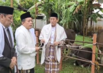 Gubernur Al Haris bersama Tokoh agama sedang bersiap melaksanakan penyembelihan hewan kurban di Hari Raya Idul Adha (dok.penulis)