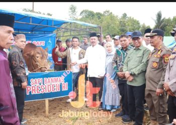 Bupati Kerinci Monadi secara simbolis menyerahkan sapi kurban Presiden RI kepada panitia di Desa Sungai Gelampeh, Minggu (7/6/2025) (dok.yola)