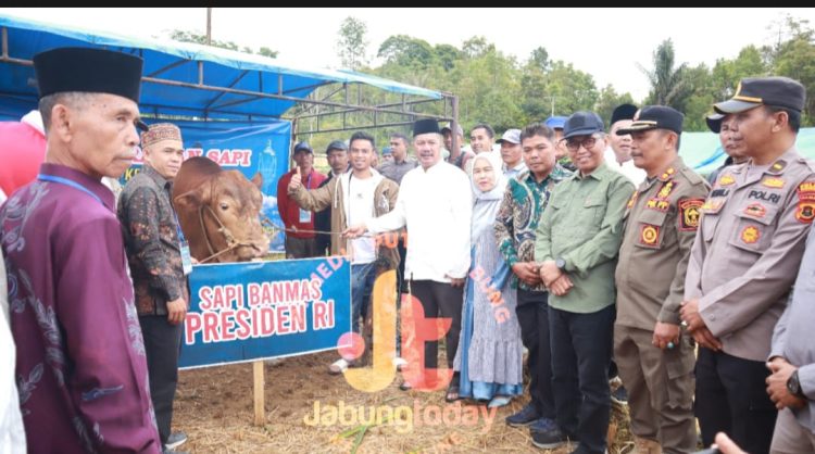 Bupati Kerinci Monadi secara simbolis menyerahkan sapi kurban Presiden RI kepada panitia di Desa Sungai Gelampeh, Minggu (7/6/2025) (dok.yola)