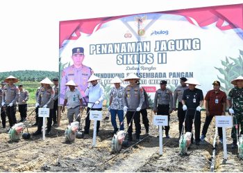 Kapolda Jambi Irjen Pol Krisno H. Siregar bersama Wakil Gubernur Jambi, unsur Forkopimda, dan perwakilan PT Brahmana Bina Bakti melakukan penanaman jagung siklus II sebagai bagian dari program ketahanan pangan nasional di Muaro Jambi, Kamis (5/6/2025). (Dok, Stepanus)