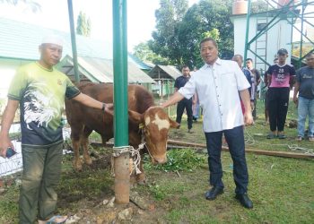 Danrem 042/Gapu Brigjen TNI Heri Purwanto bersama anggota Korem 042/Gapu saat meninjau hewan kurban sebelum proses penyembelihan di Makorem 042/Gapu, Jambi, Sabtu (7/6/2025). (Dok. Daus)