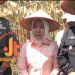 Wakil Ketua DPRD Kerinci, Surmila (tengah), bersama perwakilan TNI dan Pemkab Kerinci saat meninjau lokasi penanaman jagung di Kerinci, Jumat (13/6/2025). (Dok. Diko/Yola)