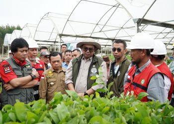 Wakil Menteri LHK Sulaiman Umar Siddiq bersama Gubernur Jambi Al Haris dan jajaran meninjau fasilitas pembibitan PT Wirakarya Sakti Distrik VII dalam rangka pengendalian karhutla, Sabtu (14/6/2025). (Dok. Erit Kominfo)