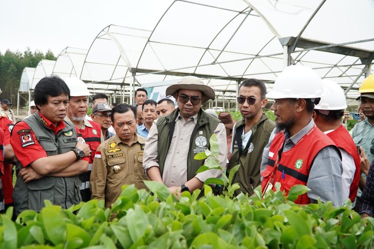 Wakil Menteri LHK Sulaiman Umar Siddiq bersama Gubernur Jambi Al Haris dan jajaran meninjau fasilitas pembibitan PT Wirakarya Sakti Distrik VII dalam rangka pengendalian karhutla, Sabtu (14/6/2025). (Dok. Erit Kominfo)