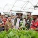 Wakil Menteri LHK Sulaiman Umar Siddiq bersama Gubernur Jambi Al Haris dan jajaran meninjau fasilitas pembibitan PT Wirakarya Sakti Distrik VII dalam rangka pengendalian karhutla, Sabtu (14/6/2025). (Dok. Erit Kominfo)