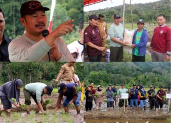 Bupati Kerinci Monadi memimpin kegiatan tanam padi serentak di Desa Talang Kemulun, Kecamatan Danau Kerinci, Selasa (24/6/2025) (Dok. Kominfo)