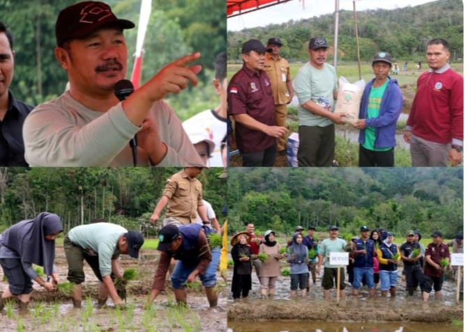 Bupati Kerinci Monadi memimpin kegiatan tanam padi serentak di Desa Talang Kemulun, Kecamatan Danau Kerinci, Selasa (24/6/2025) (Dok. Kominfo)