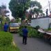 Petugas Damkar dan DLH Kota Jambi mengevakuasi pohon tumbang yang menimpa dua mobil warga di SPBU Jalan Soekarno Hatta, Rabu (30/7/2025). (Dok. Daus)