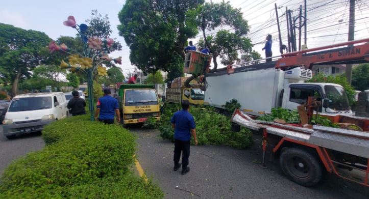 Petugas Damkar dan DLH Kota Jambi mengevakuasi pohon tumbang yang menimpa dua mobil warga di SPBU Jalan Soekarno Hatta, Rabu (30/7/2025). (Dok. Daus)