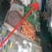 Rekaman CCTV menunjukkan momen saat pelaku mendekati korban di toko sayur Jalan TP Sriwijaya, Kelurahan Rawasari, Kota Jambi. Minggu (13/7/2025). (Dok. Tangkapan Layar CCTV)