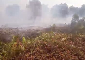 Asap tebal menyelimuti kawasan lahan gambut yang terbakar di Desa Gambut Jaya, Kecamatan Sungai Gelam, Kabupaten Muaro Jambi, Minggu (20/7/2025). (Dok, nahar)