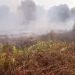 Asap tebal menyelimuti kawasan lahan gambut yang terbakar di Desa Gambut Jaya, Kecamatan Sungai Gelam, Kabupaten Muaro Jambi, Minggu (20/7/2025). (Dok, nahar)