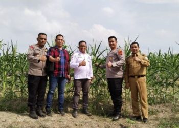 Kapolres Sarolangun AKBP Wendi Oktariansyah (dua dari kanan) bersama Camat Cermin Nan Gedang, aparat kepolisian, dan Kepala Desa Sungai Keramat meninjau lahan jagung program ketahanan pangan di Desa Sungai Keramat, Selasa (22/7/2025). ( Dok. Humas Polres Sarolangun)