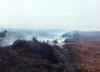 Lahan gambut yang terbakar di Desa Gambut Jaya, Kecamatan Sungai Gelam, Kabupaten Muaro Jambi (Dok. Nahar)