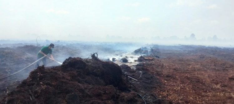Lahan gambut yang terbakar di Desa Gambut Jaya, Kecamatan Sungai Gelam, Kabupaten Muaro Jambi (Dok. Nahar)