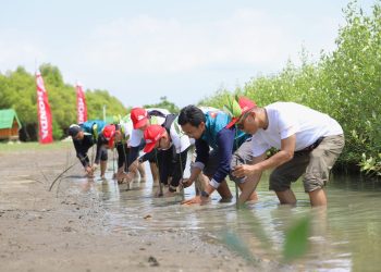 Penanaman Mangrove oleh SC Squad AHM di Kawasan Ekowisata Mangrove Tambaksari, Desa Tambaksari, Kabupaten Karawang, Jawa Barat, Senin (29/7/2025). (Dok.sinsen)