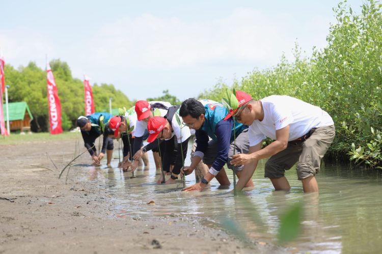 Penanaman Mangrove oleh SC Squad AHM di Kawasan Ekowisata Mangrove Tambaksari, Desa Tambaksari, Kabupaten Karawang, Jawa Barat, Senin (29/7/2025). (Dok.sinsen)