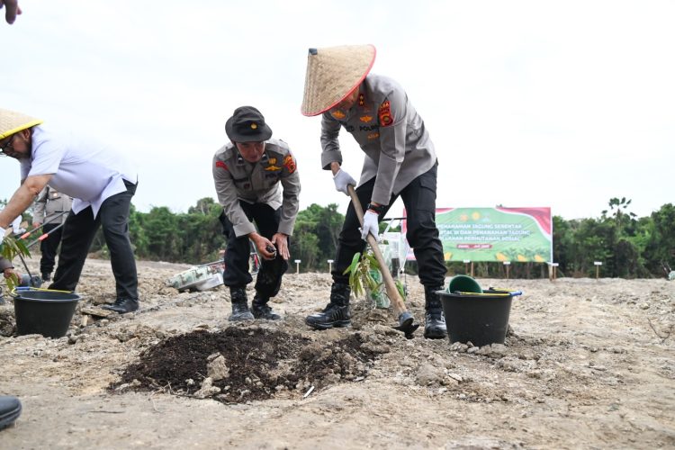 Kapolda Jambi Irjen Pol. Krisno H. Siregar bersama jajaran Forkopimda melakukan penanaman jagung kuartal III di Desa Sungai Gelam, Rabu (09/07/2025) (Dok. Humas Polda Jambi)