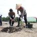 Kapolda Jambi Irjen Pol. Krisno H. Siregar bersama jajaran Forkopimda melakukan penanaman jagung kuartal III di Desa Sungai Gelam, Rabu (09/07/2025) (Dok. Humas Polda Jambi)