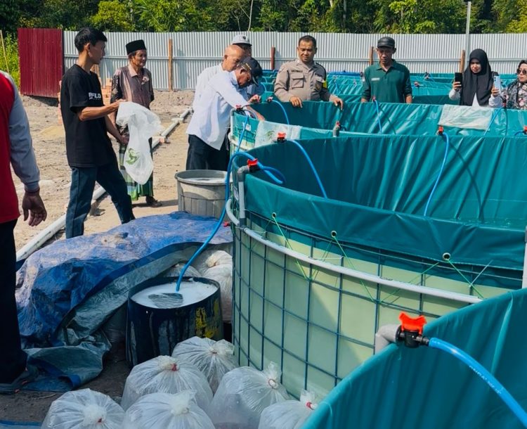 Kapolsek Kumpeh Ulu AKP Rovi bersama Sekcam dan Kepala Desa Kasang Lopak Alai menebar benih ikan nila ke kolam bioflok dalam peluncuran program budidaya perikanan air tawar di Desa Kasang Lopak Alai, Rabu (23/7/2025). (Dok. Stepanus)