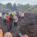 Kapolda Jambi Irjen Pol Krisno H Siregar dan Dansat Brimob Polda Jambi Kombes Pol Muhammad Faishal Aris memantau sekaligus ikut memadamkan kebakaran lahan di Desa Gambut Jaya, Kecamatan Sungai Gelam, Muaro Jambi, Sabtu (26/7/2025). (Dok. Nahar)
