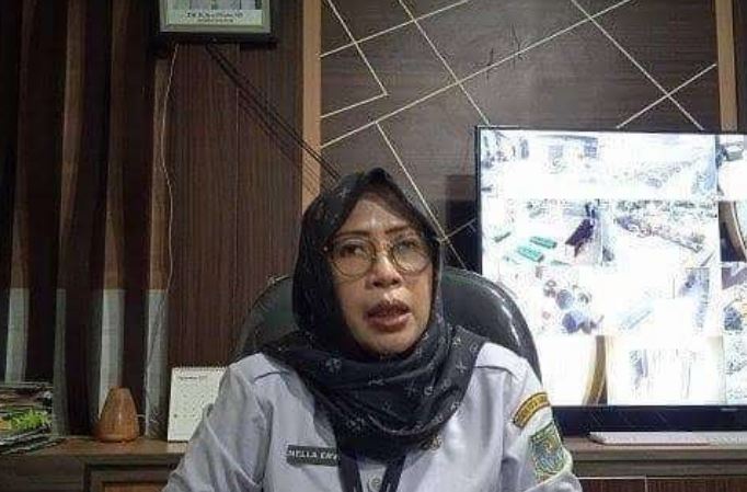 Kepala BPPRD Kota Jambi, Nella Ervina saat memberikan keterangan dirunag kerjanya, Rabu (20/8/2025). (Dok. Yola)