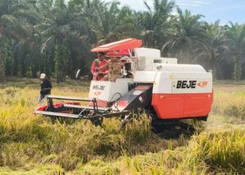 Gubernur Jambi Al Haris dan Bupati Bungo Dedy Putra menggunakan combine harvester saat panen raya padi di Dusun Bukit Sari, Kecamatan Jujuhan Ilir, Selasa (5/8/2025). (Dok. Humas)