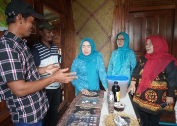 Ketua TP-PKK Provinsi Jambi, Hj. Hesti Haris, SE, berdialog dengan pengelola Rumah Kreatif Nekno di Talang Belido, Selasa (2/9/2025). (Dok. Daus)