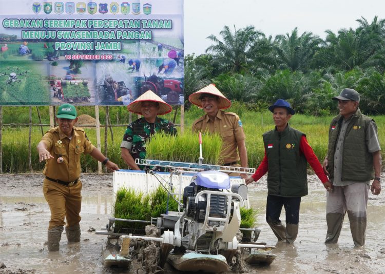 Danrem 042/Gapu Brigjen TNI Heri Purwanto bersama Bupati Batanghari, jajaran Forkopimda, dan kelompok tani menanam padi secara serentak di persawahan Talang Inuman, Batanghari, Senin (16/9/2025) (Dok. Penrem 042/Gapu)