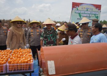 Danrem 042/Gapu Brigjen TNI Heri Purwanto berbincang dengan petani saat panen raya jagung serentak di Desa Suka Maju, Tanjung Jabung Timur, Sabtu (27/9/2025). (Dok. Nahar)