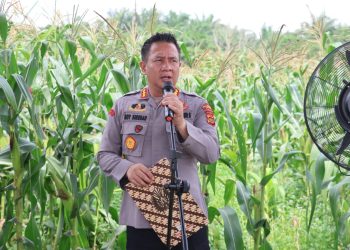 Kapolresta Jambi Kombes Pol Boy Sutan Binanga Siregar memberikan sambutan dalam kegiatan Panen Raya Jagung Serentak Kuartal III di lahan Kelompok Tani Tunas Kaya, Kecamatan Kota Baru, Kota Jambi, Sabtu (27/9/2025). (Dok. Nahar)