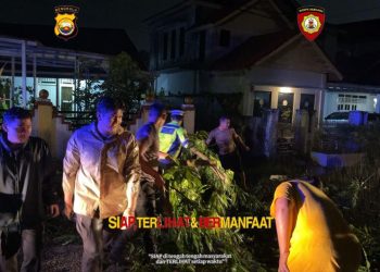 Personel Ditsamapta Polda Bengkulu bersama Satlantas dan warga bergotong royong membersihkan pohon tumbang yang menutupi badan jalan di Kota Bengkulu, Minggu (28/9/2025) malam. (Dok. Yola)