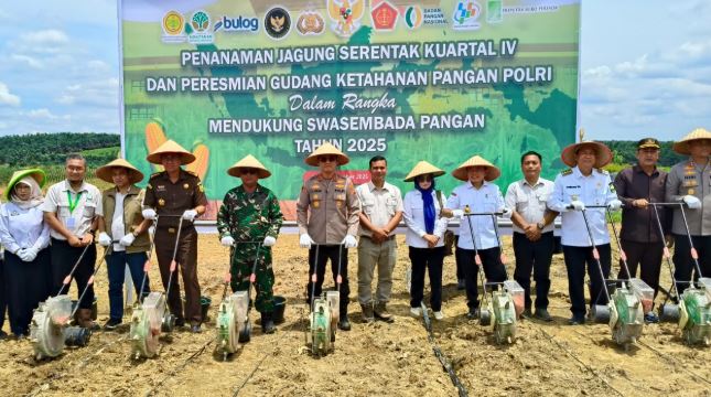 Gubernur Jambi Al Haris bersama Kapolda Jambi Irjen Pol Krisno Halomoan Siregar, Forkopimda, dan pejabat terkait menanam jagung secara simbolis dalam kegiatan Penanaman Jagung Serentak Kuartal IV dan Peresmian Gudang Ketahanan Pangan Polri 2025 di lahan PT Brahma Binabakti, Kabupaten Muaro Jambi, Rabu (8/10/2025). (Foto: Stepanus)