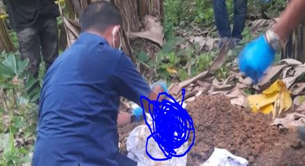 Petugas kepolisian melakukan penggalian di lokasi penemuan jasad bayi di kebun pisang, Kelurahan Kenali Besar, Kecamatan Alam Barajo, Kota Jambi, Jumat (24/10/2025). (Dok, nahar)