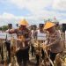 Kapolda Bengkulu Irjen Pol Mardiyono bersama Bupati dan pejabat Forkopimda Kepahiang memanen jagung varietas Supra F-1 Bhayangkara Merah Putih di Desa Kelobak, Kecamatan Kepahiang, Rabu (1/10/2025). (Dok. Yola)