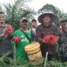 Bupati Muaro Jambi Dr. Bambang Bayu Suseno meninjau panen raya cabai merah bersama Gapoktan Desa Sungai Gelam, Kamis (20/11/2025). (Dok. Stepanus)