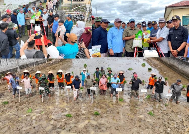 Bupati Kerinci Monadi menyerahkan alsintan jenis hidrotiller dan bibit padi kepada kelompok tani Desa Kemantan Raya sebagai langkah memperkuat ketahanan pangan daerah, Sabtu (22/11). (Dok. Deko)