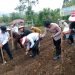 Pemerintah Desa Imigrasi Permu, Kecamatan Kepahiang, resmi meluncurkan Lomba Ketahanan Pangan Satu Desa Satu Hektar 2025 melalui kegiatan penanaman jagung serentak, Senin (25/08/2025). (Dok.haryadi)
