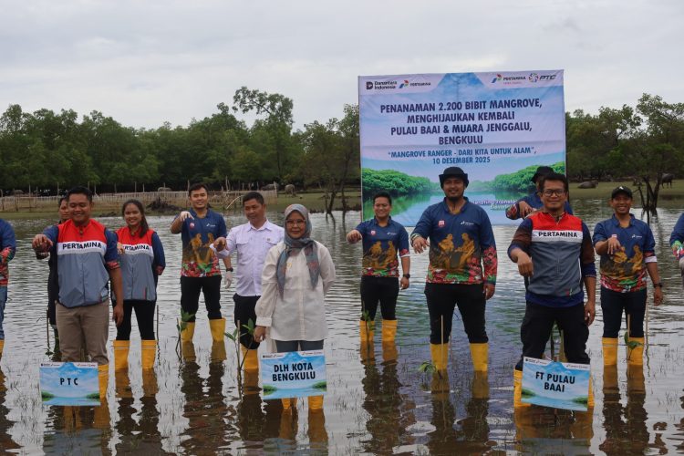 PT Pertamina Training and Consulting (PTC) bersinergi dengan Fuel Terminal Pulau Baai Bengkulu melaksanakan penanaman 2.200 bibit mangrove di kawasan Pulau Baai dan Muara Jenggalu, Kota Bengkulu, Rabu (10/12/2025) lalu. (Dok/yl)