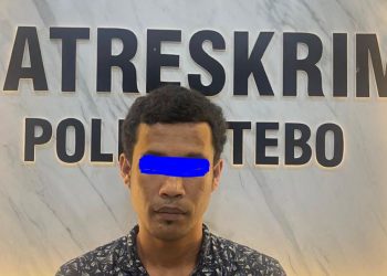 Pelaku pencurian sepeda motor berinisial NR (31) diamankan Tim Resmob Satreskrim Polres Tebo usai ditangkap di kediamannya di Kecamatan Rimbo Bujang, Kabupaten Tebo, (Dok. Humas)